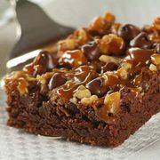 Brownie Gourmet 100mg at Curaleaf Maine Brownie Gourmet 100mg at Curaleaf Maine