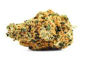 Jenny Kush | 1g | Top Shelf at Curaleaf AZ Midtown Jenny Kush | 1g | Top Shelf at Curaleaf AZ Midtown