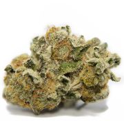 GSC (1/4oz) at Curaleaf NJ Bellmawr GSC (1/4oz) at Curaleaf NJ Bellmawr