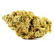 Flower 1g - Mothership OG at Curaleaf AZ Gilbert Flower 1g - Mothership OG at Curaleaf AZ Gilbert