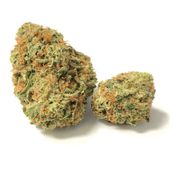 Big Bud | 3.5g at Curaleaf AZ Youngtown Big Bud | 3.5g at Curaleaf AZ Youngtown