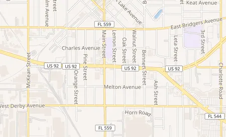 map of 401 Magnolia Ave Auburndale, FL 33823