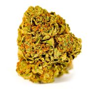 Wedding Cake | 3.5g | Top Shelf at Curaleaf AZ Gilbert Wedding Cake | 3.5g | Top Shelf at Curaleaf AZ Gilbert