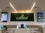 Curaleaf Carle Place - Curbside Pick-up Only - Carle Place, NY Curaleaf Carle Place - Curbside Pick-up Only - Carle Place, NY