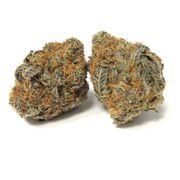 Purple Apricot | 1g at Curaleaf AZ Gilbert Purple Apricot | 1g at Curaleaf AZ Gilbert