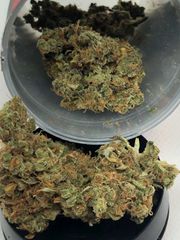 Durban Poison 8th at Curaleaf Takoma Durban Poison 8th at Curaleaf Takoma