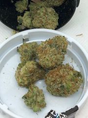 Grapefruit Kush 8th at Curaleaf Takoma Grapefruit Kush 8th at Curaleaf Takoma