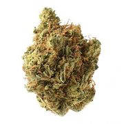 Flower 14g - Freedom Haze #2 at Curaleaf AZ Bell Flower 14g - Freedom Haze #2 at Curaleaf AZ Bell