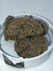 DosidosG 8ths at Curaleaf Takoma DosidosG 8ths at Curaleaf Takoma