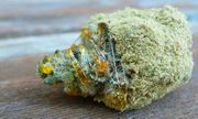 Moonrocks, Hybrid 1g at Curaleaf Maine Moonrocks, Hybrid 1g at Curaleaf Maine