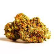 Flower 3.5g - Purple Orange CBD at Curaleaf AZ Gilbert Flower 3.5g - Purple Orange CBD at Curaleaf AZ Gilbert