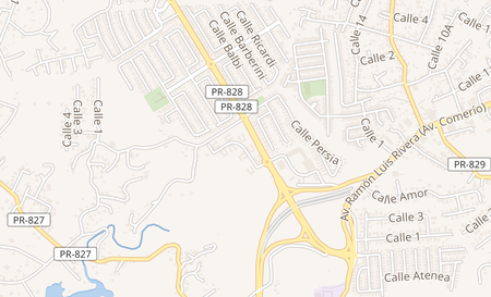 map of 1900 Ave Palacios De Versalles Toa Alta, PR 00953
