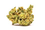 Flower 3.5g | Banana Jack OG at Curaleaf AZ Central Flower 3.5g | Banana Jack OG at Curaleaf AZ Central