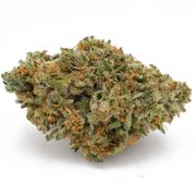 Asteroid OG (1/4oz) at Curaleaf NJ Bellmawr Asteroid OG (1/4oz) at Curaleaf NJ Bellmawr