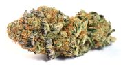 Flower 1g - Cookie Burn at Curaleaf AZ Camelback Flower 1g - Cookie Burn at Curaleaf AZ Camelback