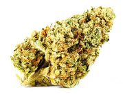 Lemon Tree | 1g | Top Shelf at Curaleaf AZ Bell Lemon Tree | 1g | Top Shelf at Curaleaf AZ Bell