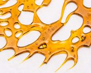 Shatter 1g - Star F*cker at Curaleaf AZ Bell Shatter 1g - Star F*cker at Curaleaf AZ Bell