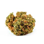 Agent Orange | 3.5g | Private Reserve at Curaleaf AZ Pavilions Agent Orange | 3.5g | Private Reserve at Curaleaf AZ Pavilions