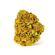 Flower 3.5g - Star F*cker at Curaleaf AZ Bell Flower 3.5g - Star F*cker at Curaleaf AZ Bell