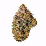 HMS Blueberry Headband 3.5g at Curaleaf Gaithersburg HMS Blueberry Headband 3.5g at Curaleaf Gaithersburg