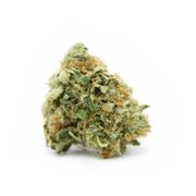 Mendocino Purps | 3.5g at Curaleaf MA Hanover Mendocino Purps | 3.5g at Curaleaf MA Hanover