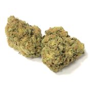 Flower 14g - Sour Sunset at Curaleaf AZ Midtown Flower 14g - Sour Sunset at Curaleaf AZ Midtown