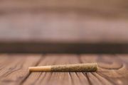 5 PK - Napali Pink Pre-roll 5g at Curaleaf AZ Bell 5 PK - Napali Pink Pre-roll 5g at Curaleaf AZ Bell