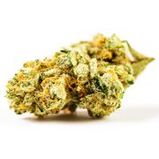 Flower 3.5g - Venom OG at Curaleaf AZ Youngtown Flower 3.5g - Venom OG at Curaleaf AZ Youngtown