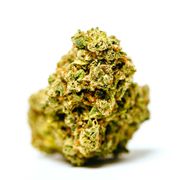 1FTG*T Flower 3.5g - Rick Sanchez at Curaleaf AZ Midtown 1FTG*T Flower 3.5g - Rick Sanchez at Curaleaf AZ Midtown