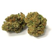 Banana Cream | 3.5g | Mid Tier at Curaleaf AZ Glendale Banana Cream | 3.5g | Mid Tier at Curaleaf AZ Glendale