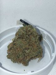 Stardawg 8th at Curaleaf Takoma Stardawg 8th at Curaleaf Takoma