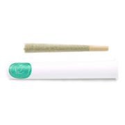 Golden Cobra Preroll | 1g at Curaleaf MA Hanover Golden Cobra Preroll | 1g at Curaleaf MA Hanover
