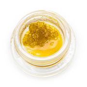 Orange Cookies | 1g | Sauce at Curaleaf AZ Gilbert Orange Cookies | 1g | Sauce at Curaleaf AZ Gilbert