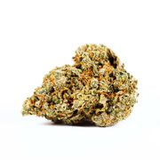 Jack Herrera | 3.5g | Mid Tier at Curaleaf AZ Midtown Jack Herrera | 3.5g | Mid Tier at Curaleaf AZ Midtown