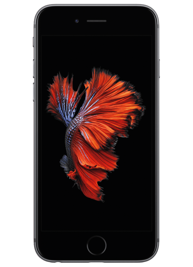 Apple iPhone 6s - Apple | Out of Stock - Philadelphia, PA Apple iPhone 6s - Apple | Out of Stock - Philadelphia, PA