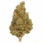 Flower 1g - Lava Cake at Curaleaf AZ Gilbert Flower 1g - Lava Cake at Curaleaf AZ Gilbert