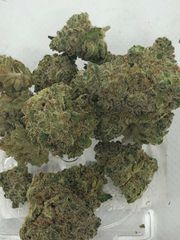 Blueberry Headband 8th at Curaleaf Takoma Blueberry Headband 8th at Curaleaf Takoma